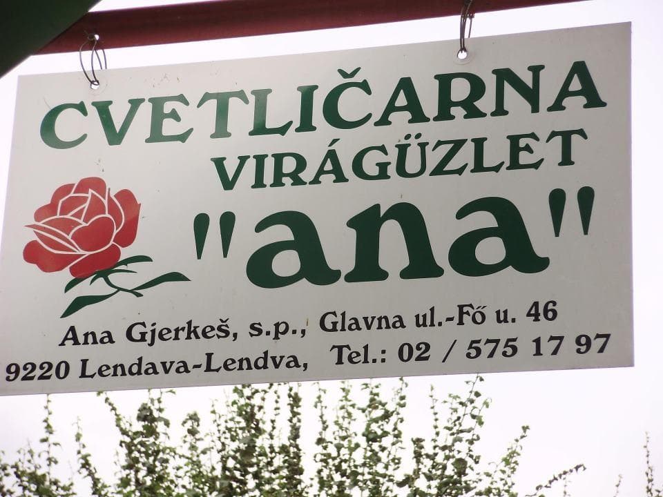 CVETLIČARNA ANA, LENDAVA cover