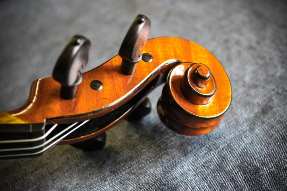 VIOLINE IZ VISOKORESONANČNEGA LESA