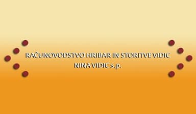 RAČUNOVODSKE STORITVE ZA SAMOSTOJNE PODJETNIKE, GOSPODARSKE DRUŽBE IN DRUŠTVA, VODENJE TEMELJNIH PO