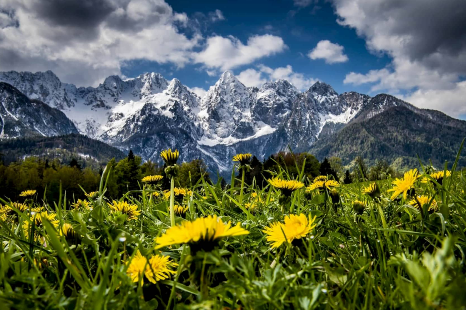 Apartmaji Košir, Kranjska Gora