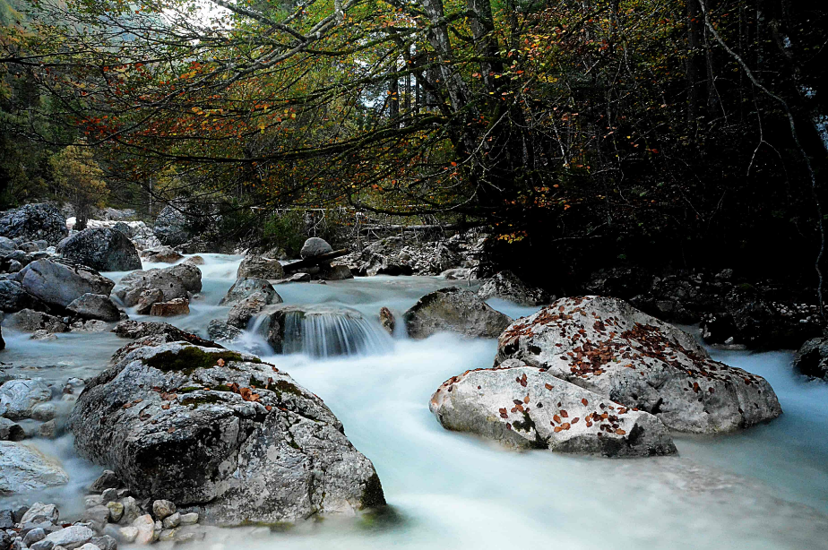 Apartmaji Košir, Kranjska Gora