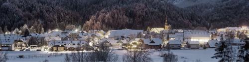 APARTMAJI KRANJSKA GORA ROŽLE