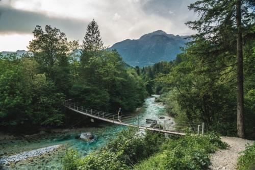  CAMP BOVEC GLAMPING IN BOVEC