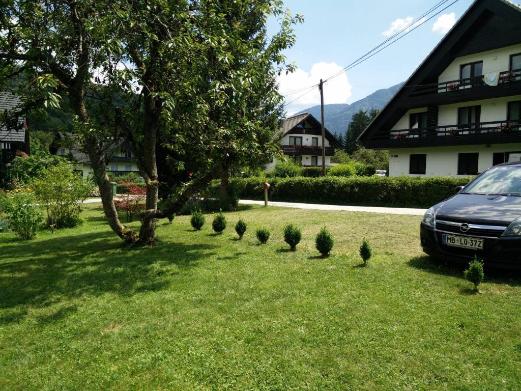 Apartmaji Heingman Bohinj, Ribičev laz